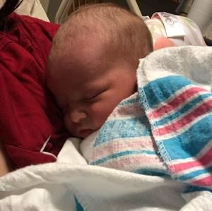 Meet your Posher, Molly